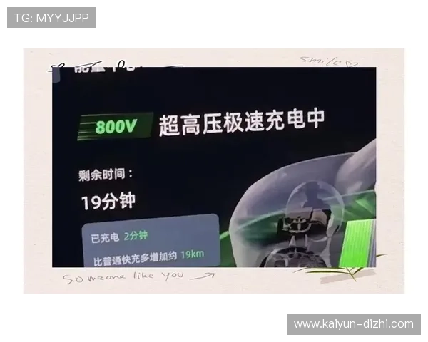 全面解析热门体育平台推荐助你轻松选择最适合的应用